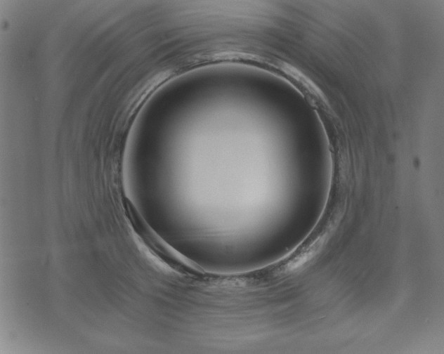 X0000073390801200607281058