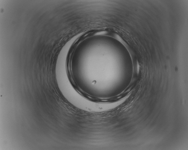 X0000073390818200607281057