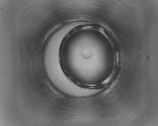 X0000073390826200607281057