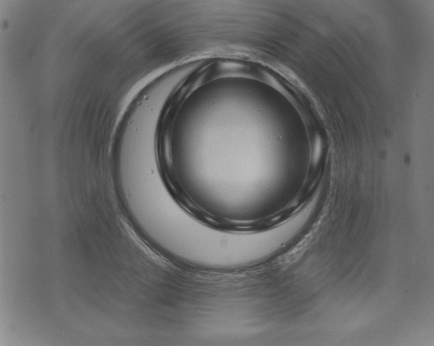 X0000073390838200607281057
