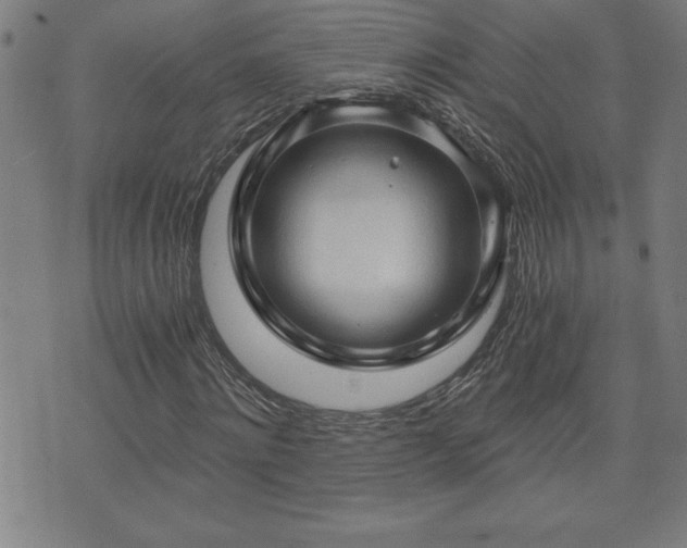 X0000073390868200607281057