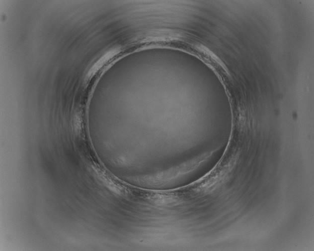 X0000073390874200607281057