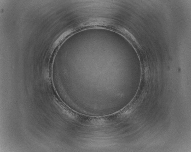 X0000073390882200607281057