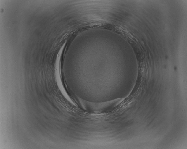 X0000073390916200607281056