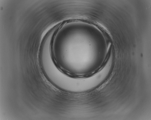 X0000073390928200607281056