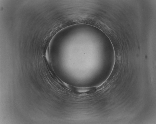 X0000073391012200607281054