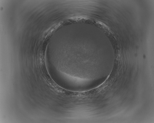 X0000073391014200607281054