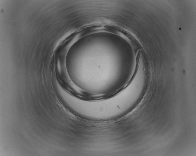 X0000073391018200607281054