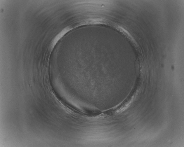 X0000073391081200607281054