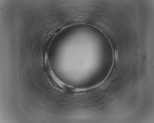 X0000073391107200607281052