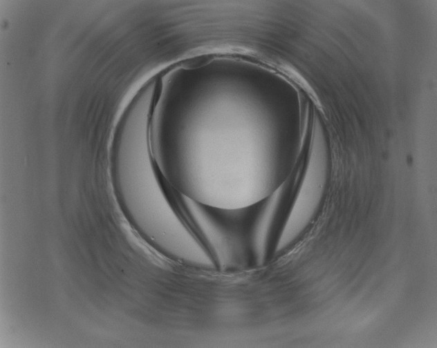 X0000073391132200607281053