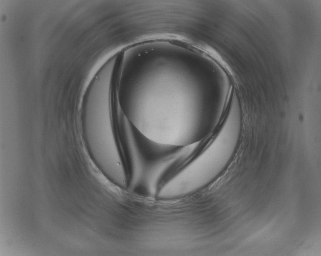 X0000073391140200607281053