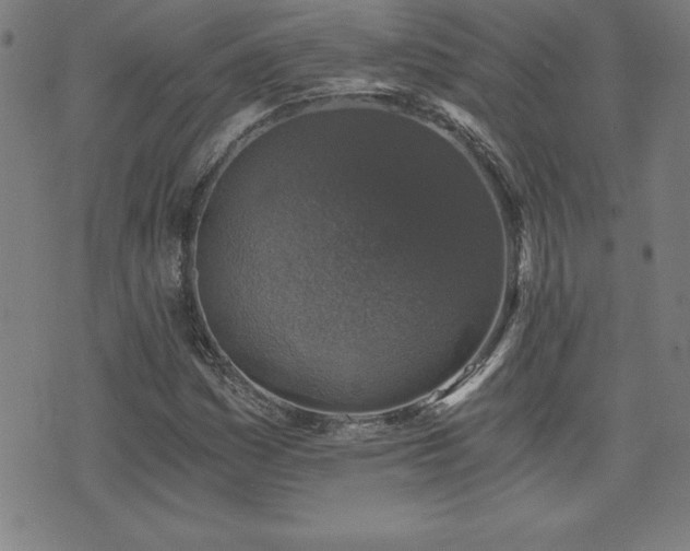 X0000073391161200607281052