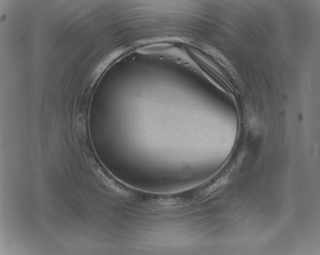 X0000073391177200607281052