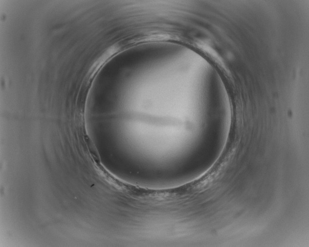 X0000073391193200607281052
