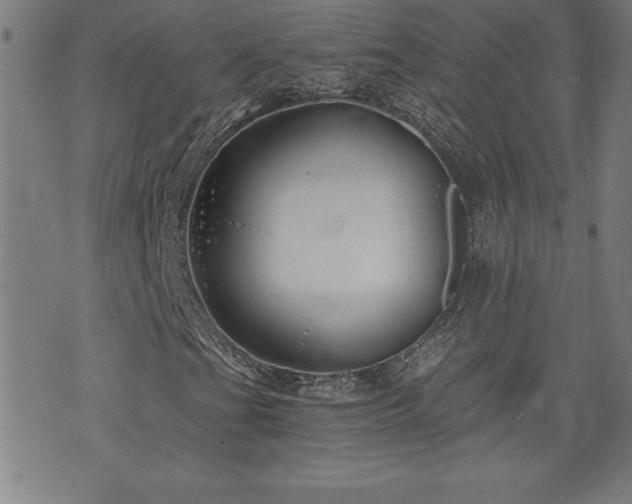 X0000073391201200607281051