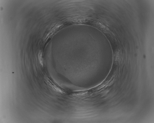 X0000073391202200607281051