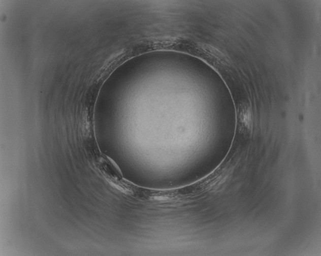 X0000073391252200607281051