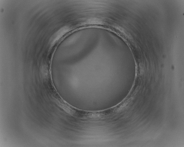 X0000073391266200607281051
