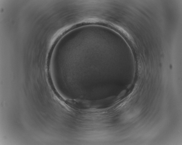 X0000073391327200607281050