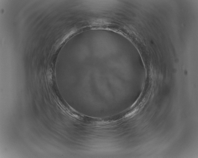 X0000073391401200607281048