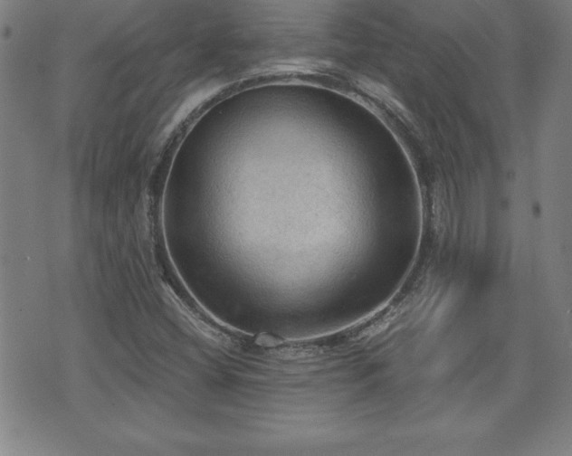 X0000073391404200607281048