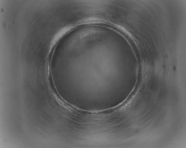 X0000073391413200607281048