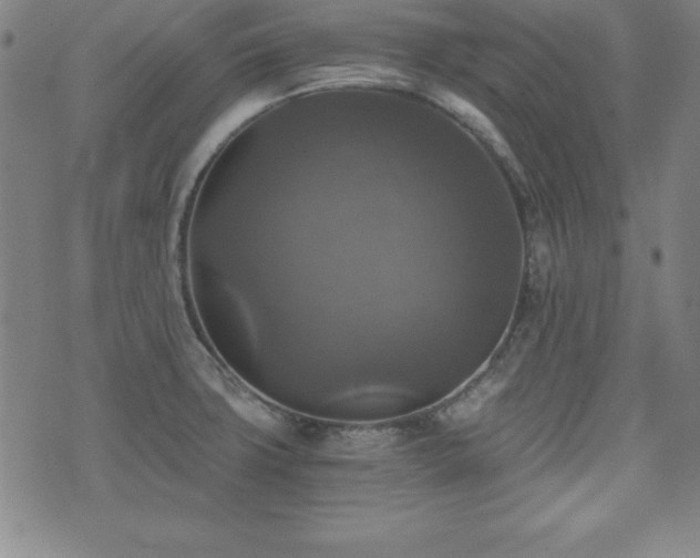 X0000073391427200607281048