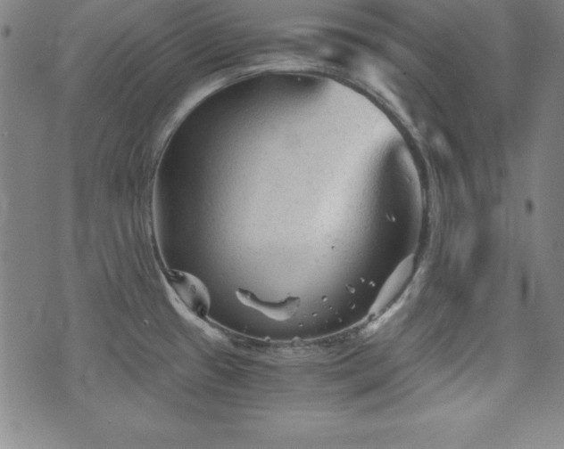 X0000073391433200607281048