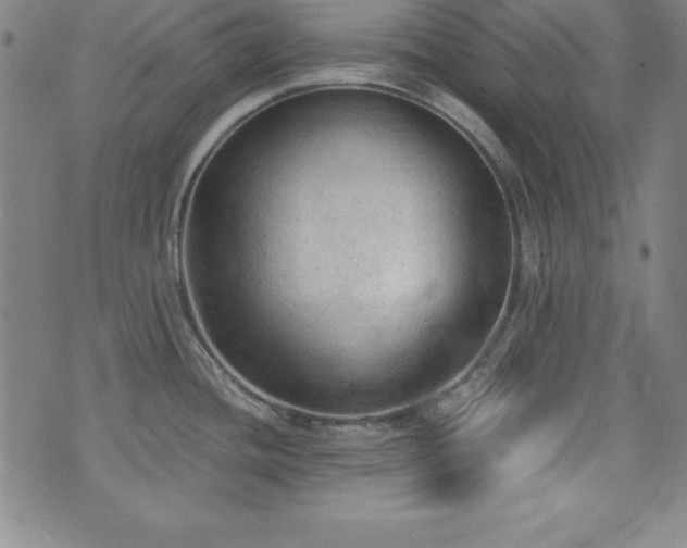 X0000073391436200607281048