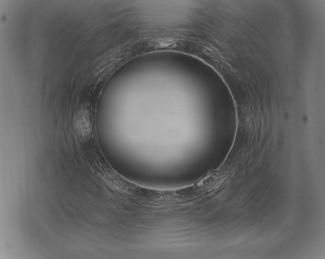X0000073391442200607281048
