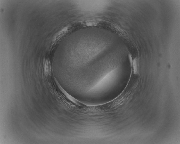 X0000073391443200607281048