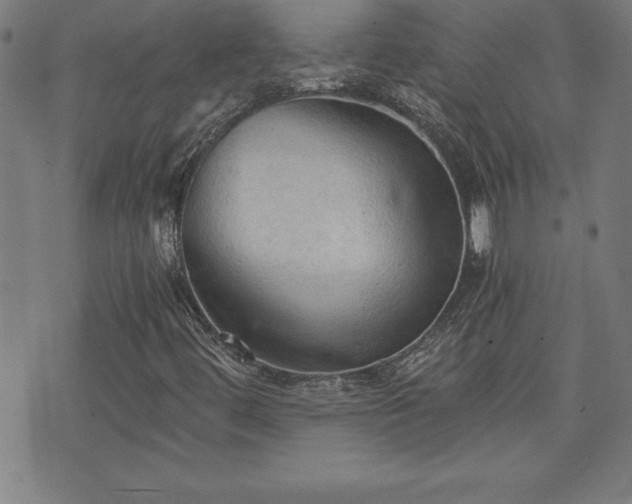 X0000073391444200607281048