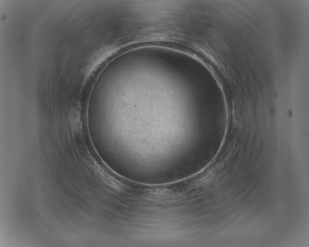 X0000073391452200607281047