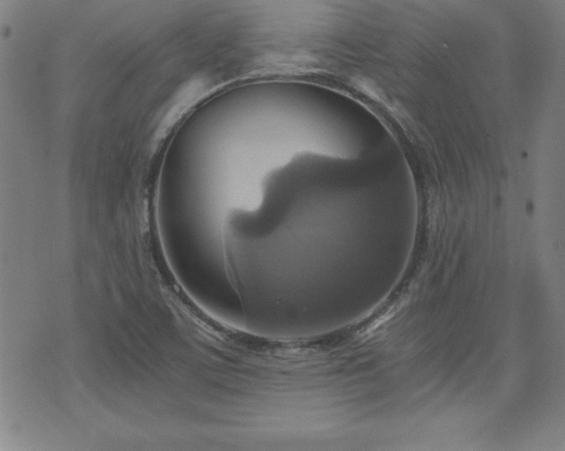 X0000073391459200607281047