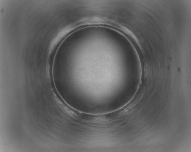 X0000073391464200607281047
