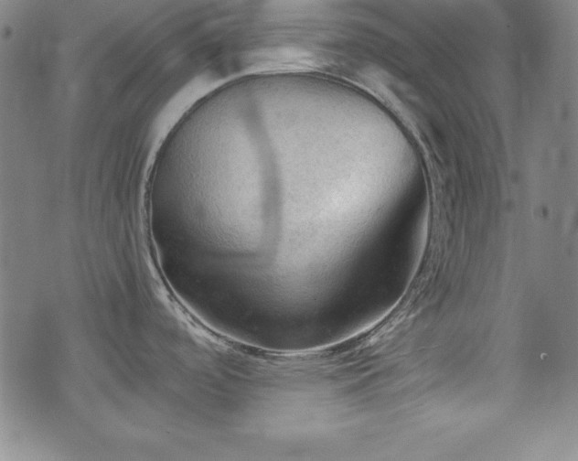 X0000073391488200607281047