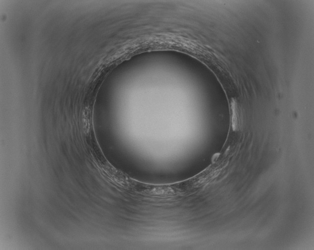 X0000073391491200607281046