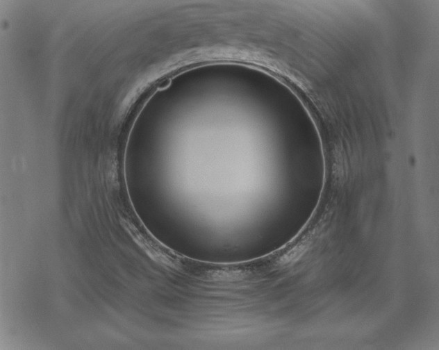 X0000073391499200607281046