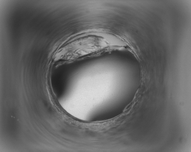 X0000073390001200608040913