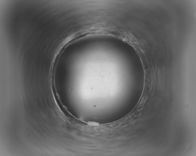 X0000073390003200608040913
