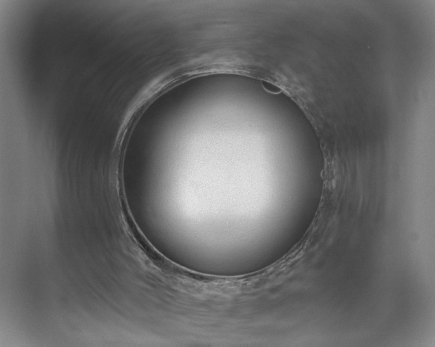 X0000073390004200608040913