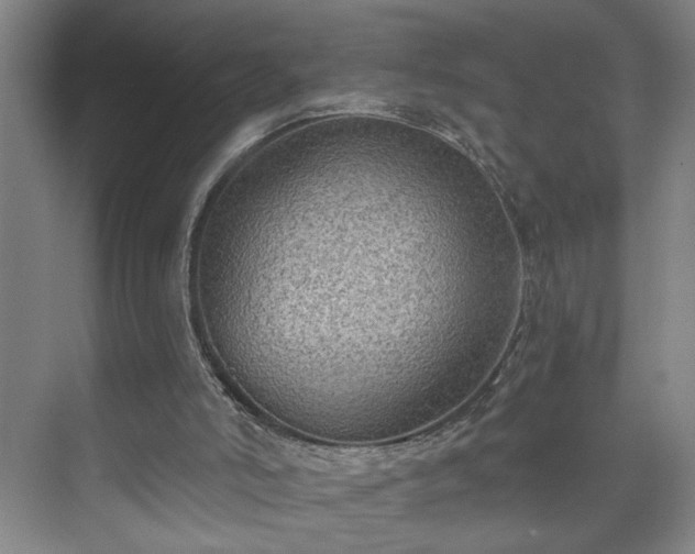 X0000073390006200608040913