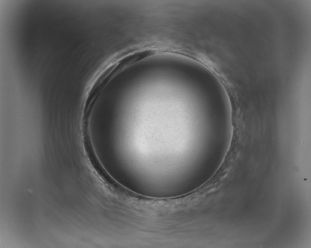X0000073390007200608040913