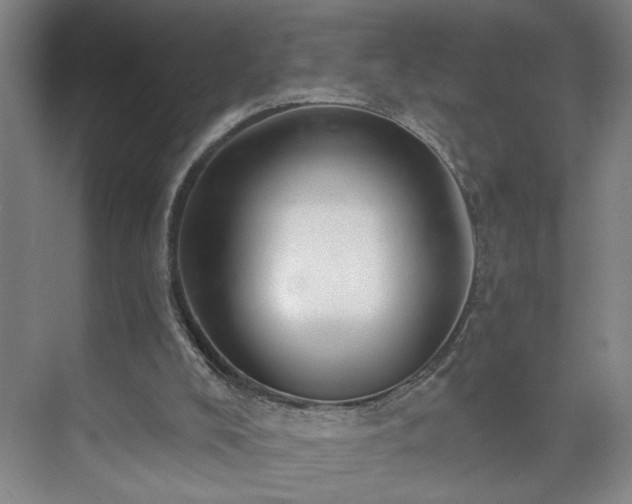 X0000073390008200608040913