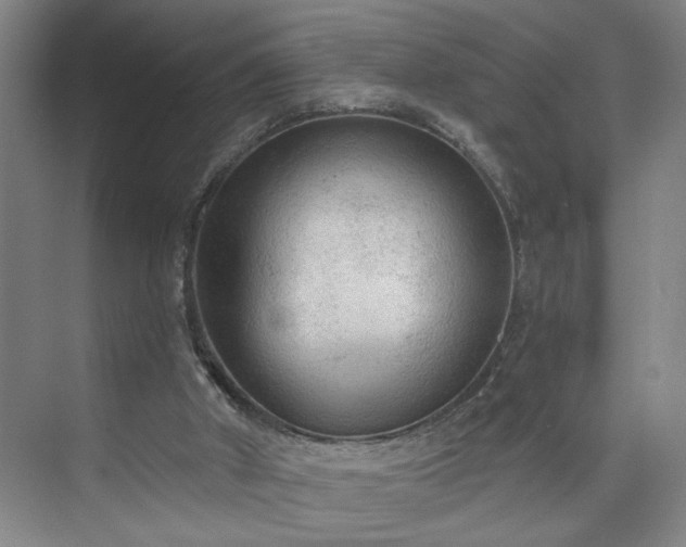 X0000073390010200608040913