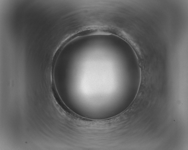 X0000073390011200608040913