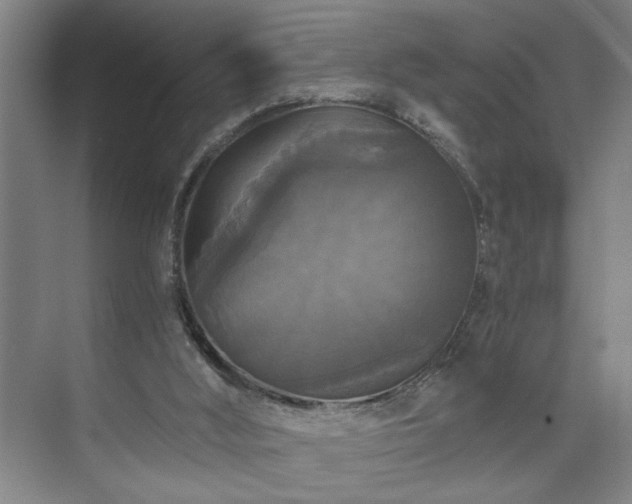 X0000073390012200608040913
