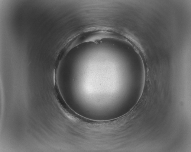 X0000073390013200608040913