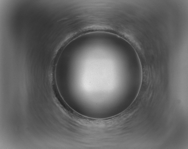 X0000073390015200608040913